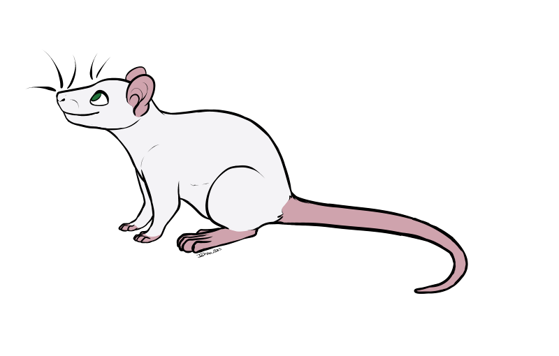 clipart rat thin