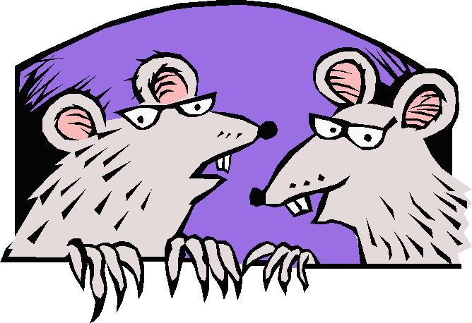 clipart rat two rat