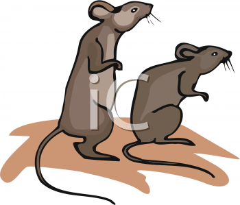 clipart rat two rat