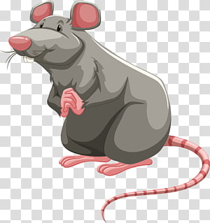 clipart rat vector
