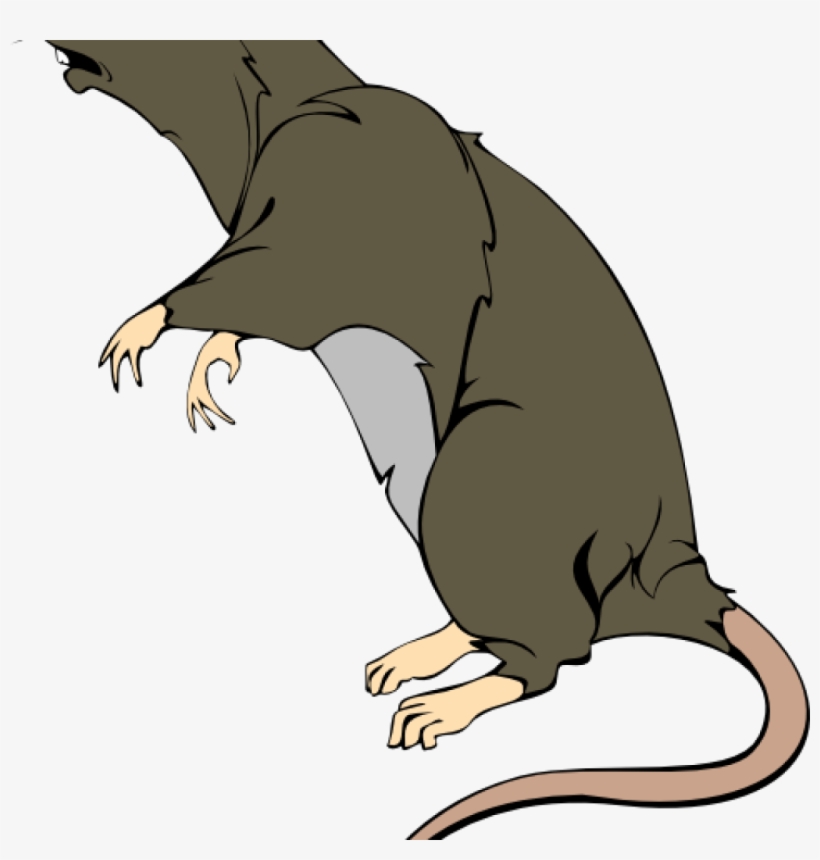 clipart rat vector
