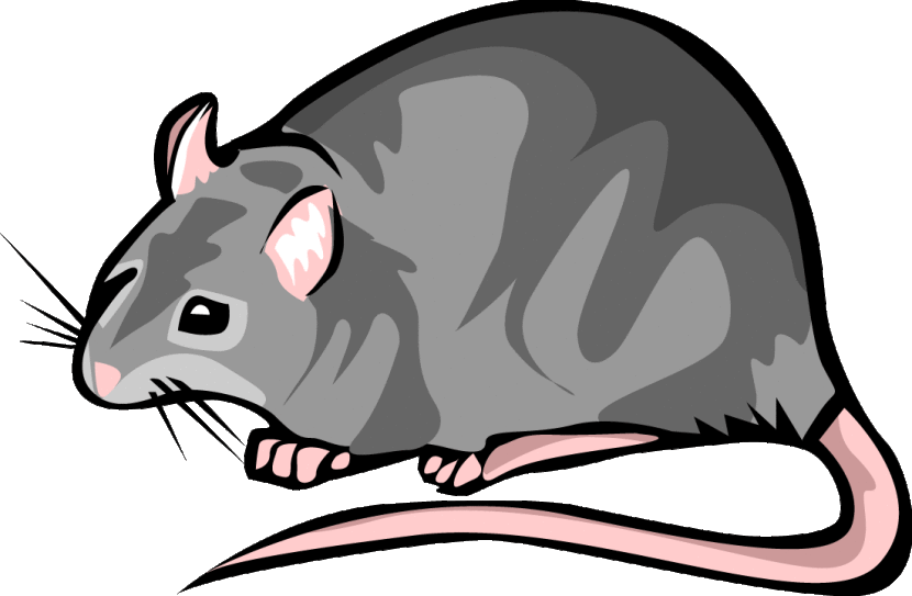  collection of black. Clipart rat water