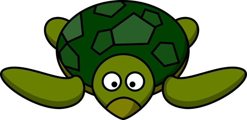 Face clipart turtle. Free download images photos