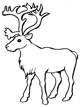 clipart reindeer caribou