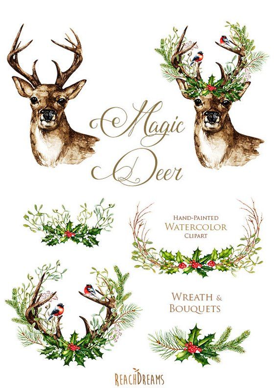 Clipart reindeer rustic. Christmas deer watercolor deers