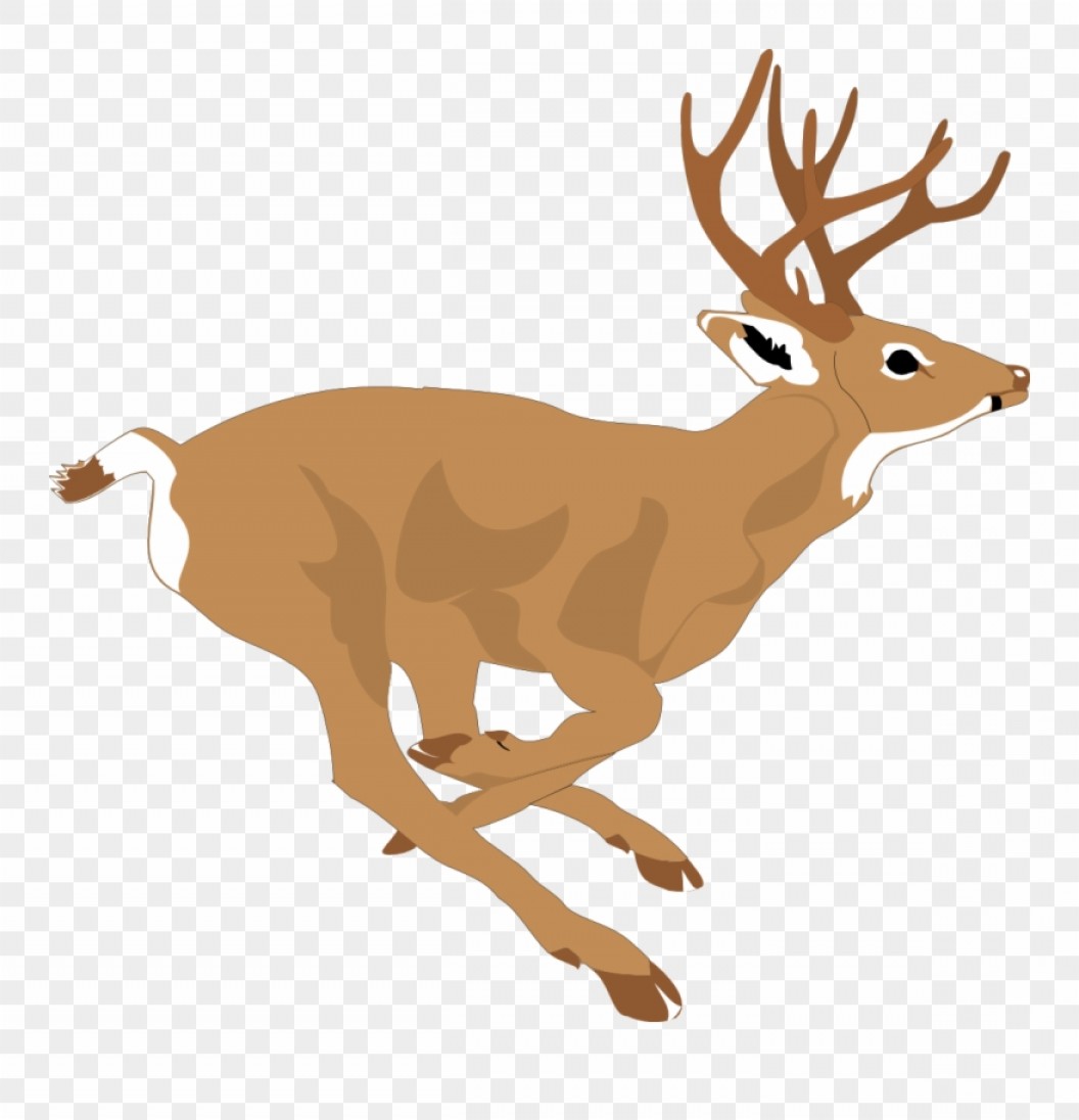 Mwjbhdeer free at deer. Clipart reindeer side view