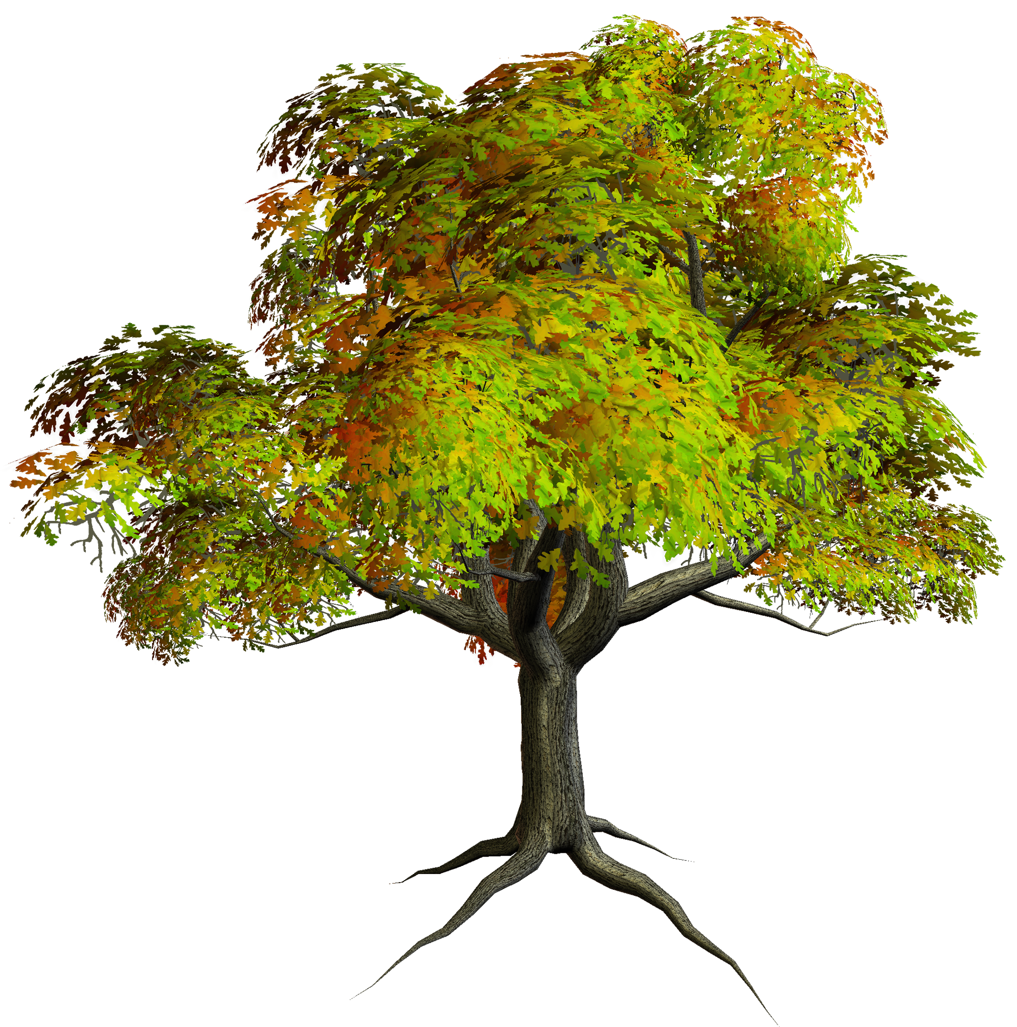 Autumn tree clipart yopriceville. Png images gallery
