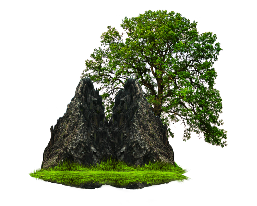 Grass clipart rock. Png and tree by