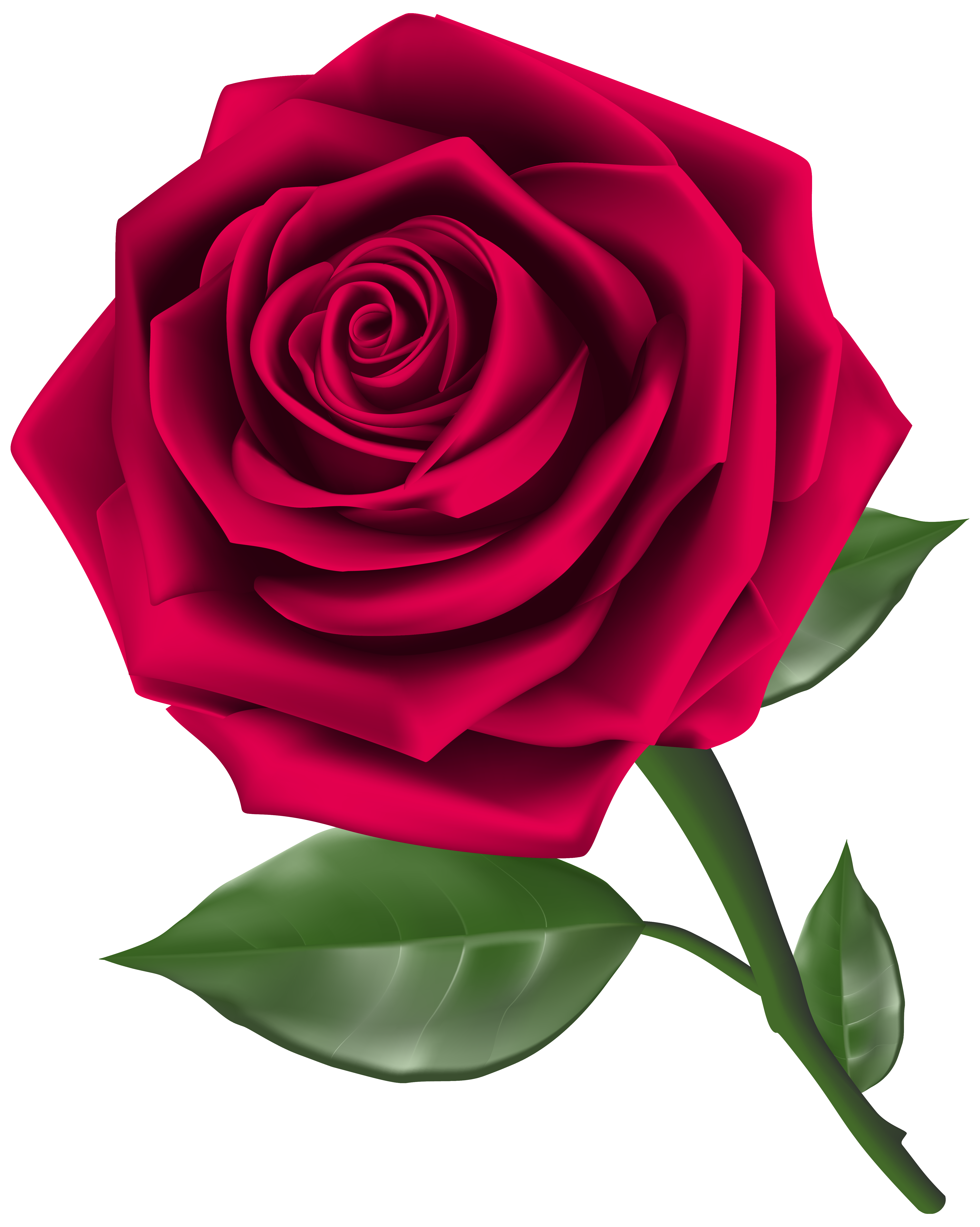 Clipart rose. Steam png image gallery