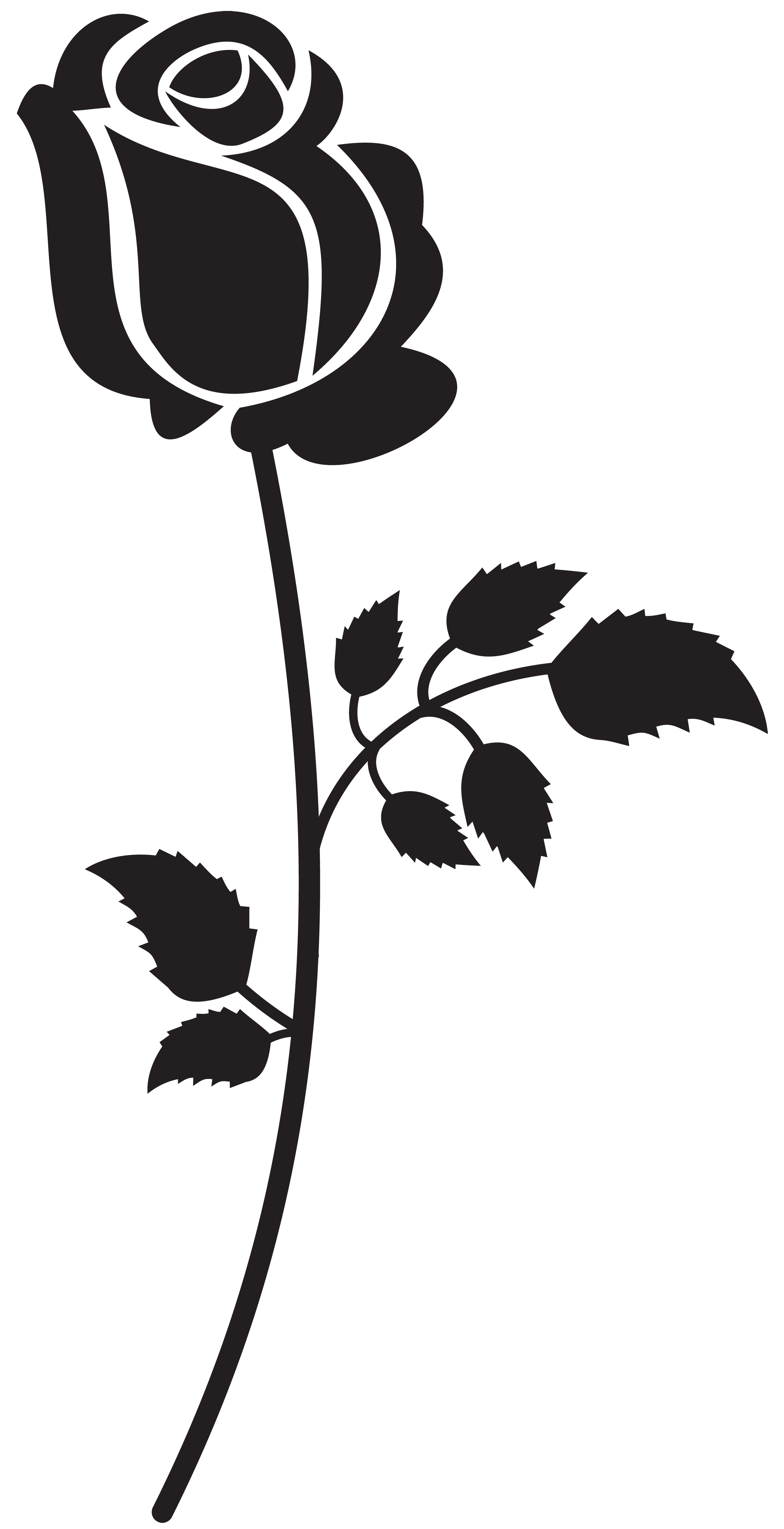 Beauty silhouette at getdrawings. Clipart roses black and white