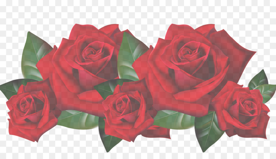Flowers background png download. Clipart roses banner