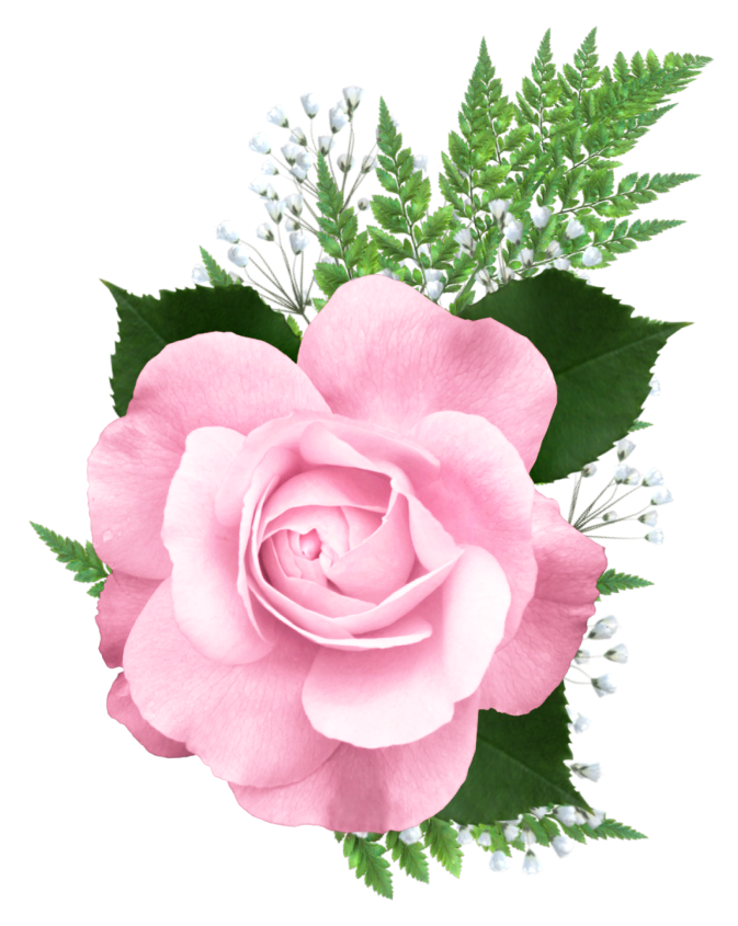 Pink png transparent picture. Clipart rose bed