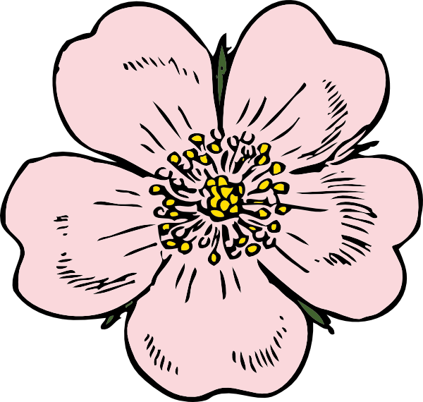 Wild clip art at. Clipart rose bloom