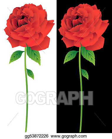 Stock illustration red stem. Clipart rose bloom