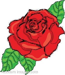 Clipart rose bloom. Clip art of a