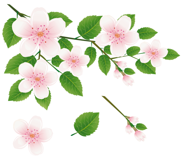 Spring tree with flowers. Clipart rose branch