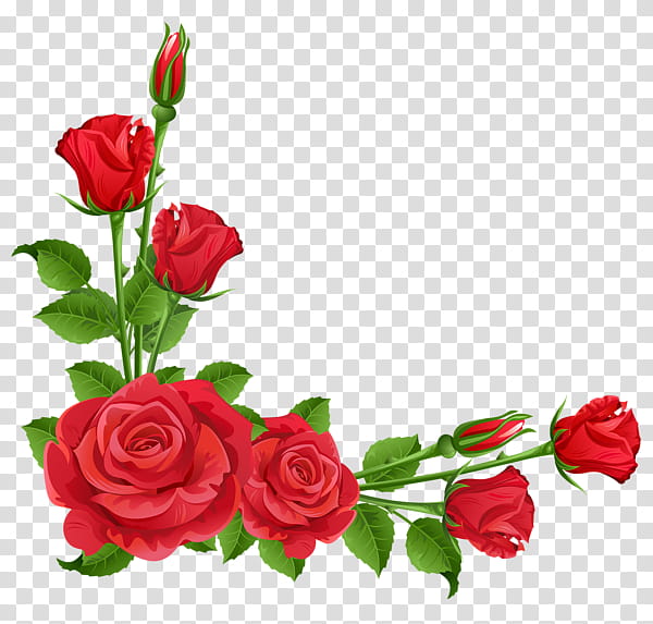 clipart rose curved