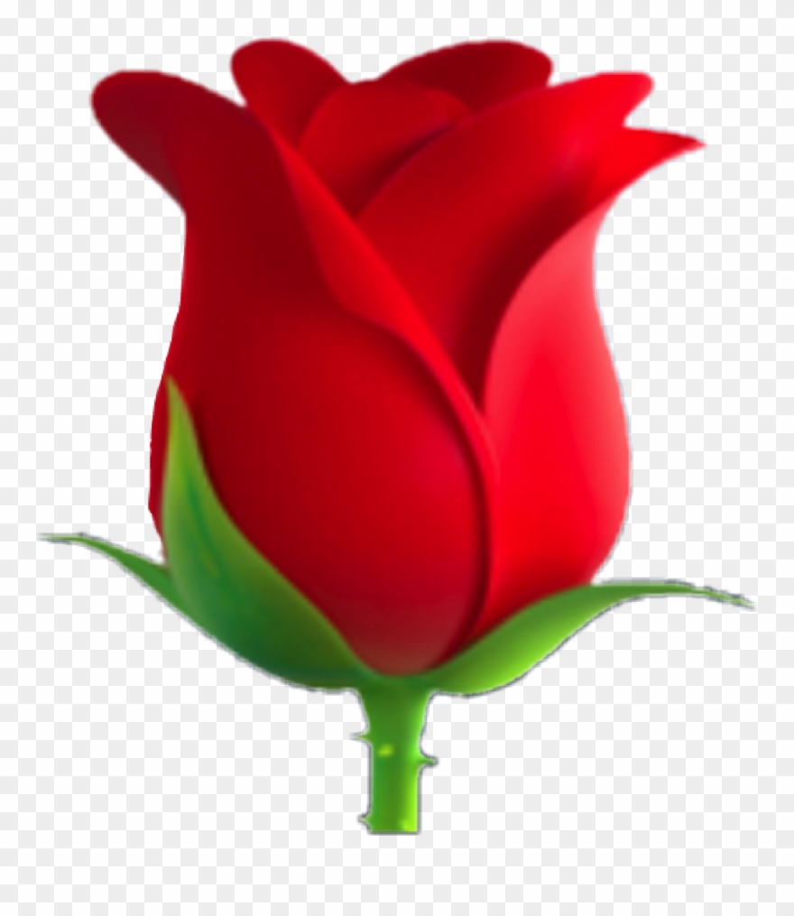 clipart rose emoji