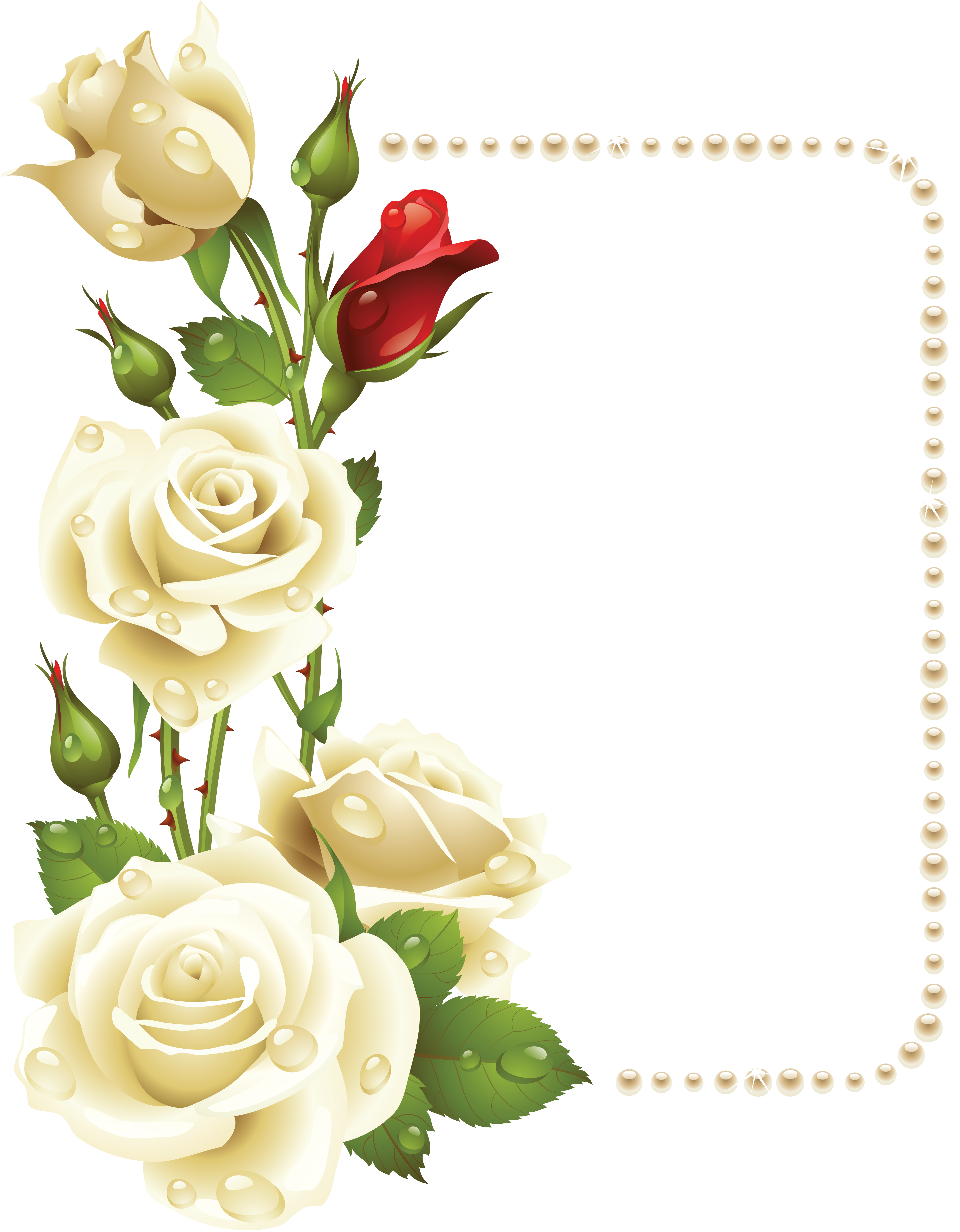 Engagement clipart rose. Pin by on pinterest