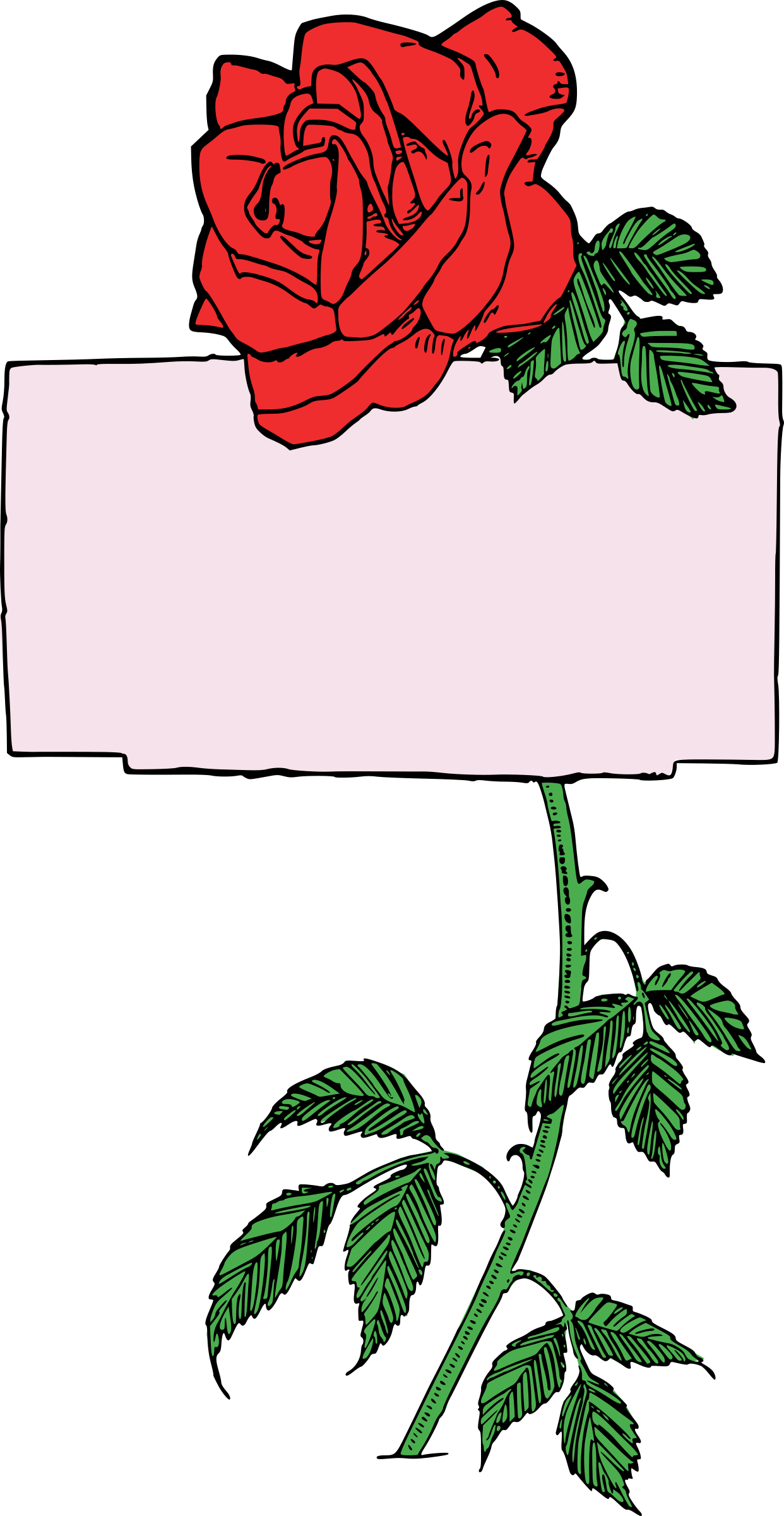 Rose colour big image. Clipart roses frame