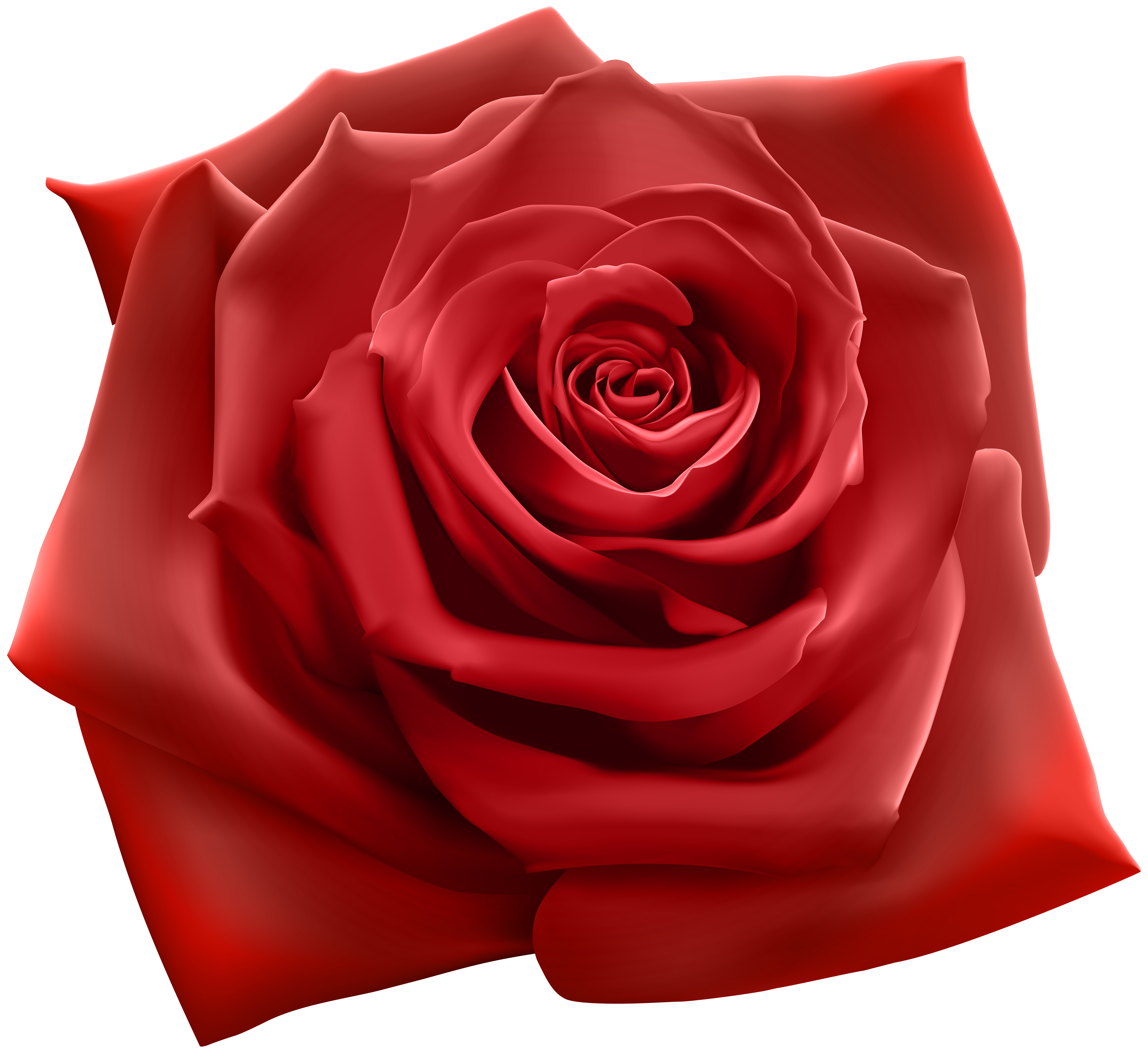 clipart roses high resolution