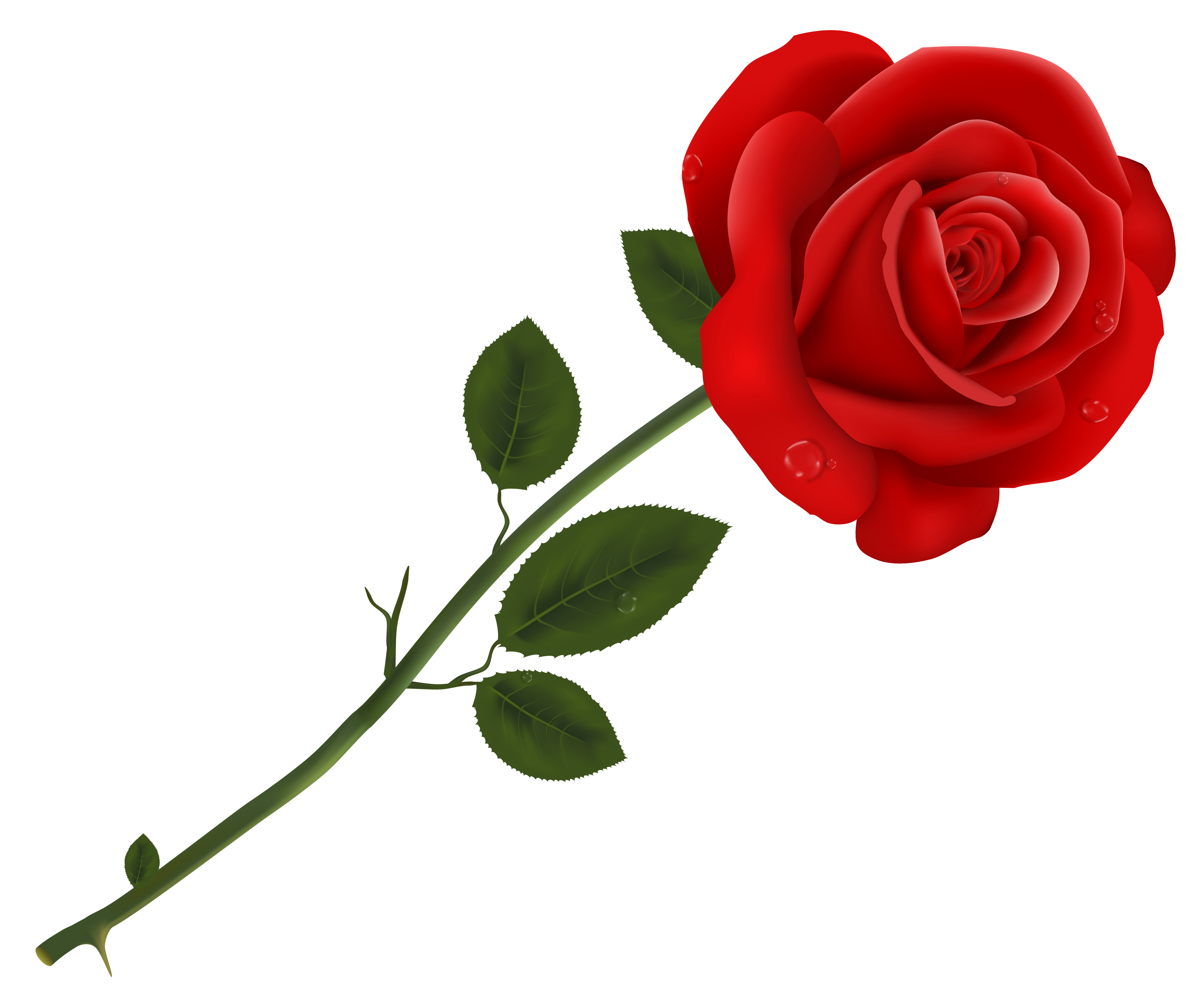 Color clipart rose. Red transparent png art