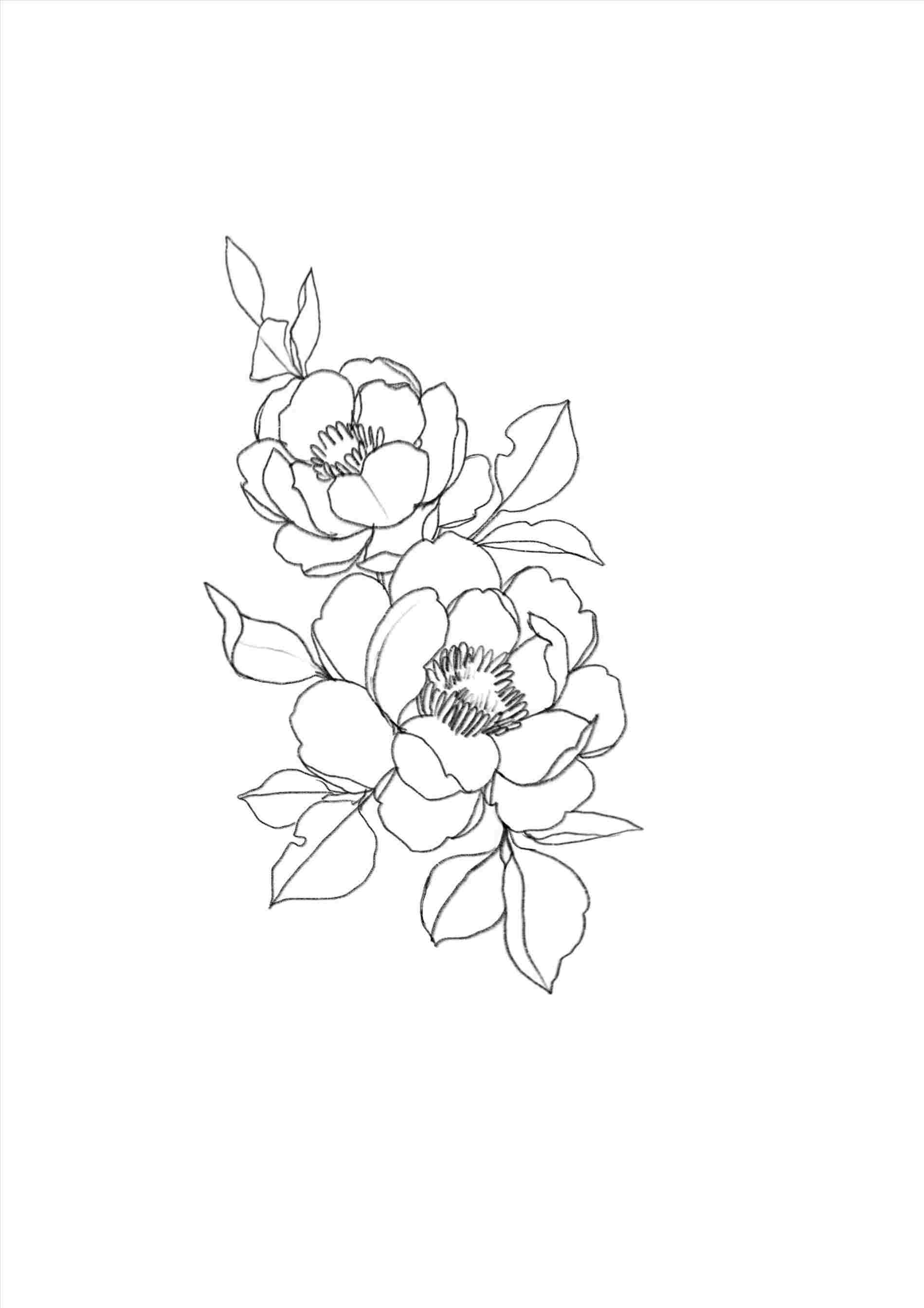 clipart rose minimalist