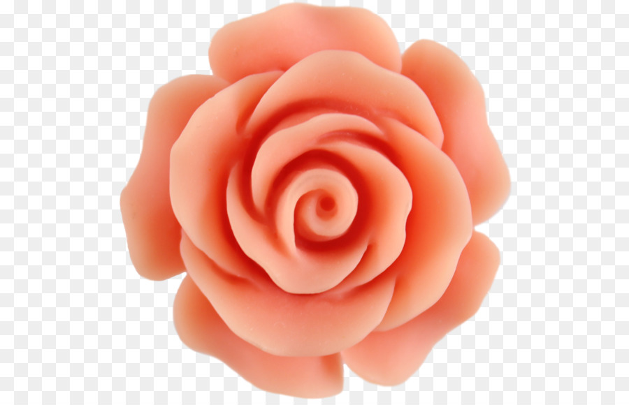 Clipart rose peach rose. Watercolor pink flowers flower
