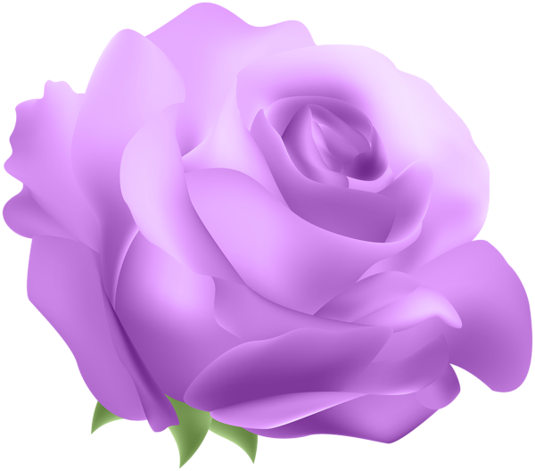 clipart rose purple