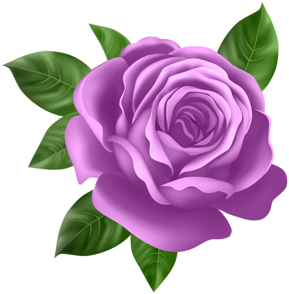 clipart roses purple