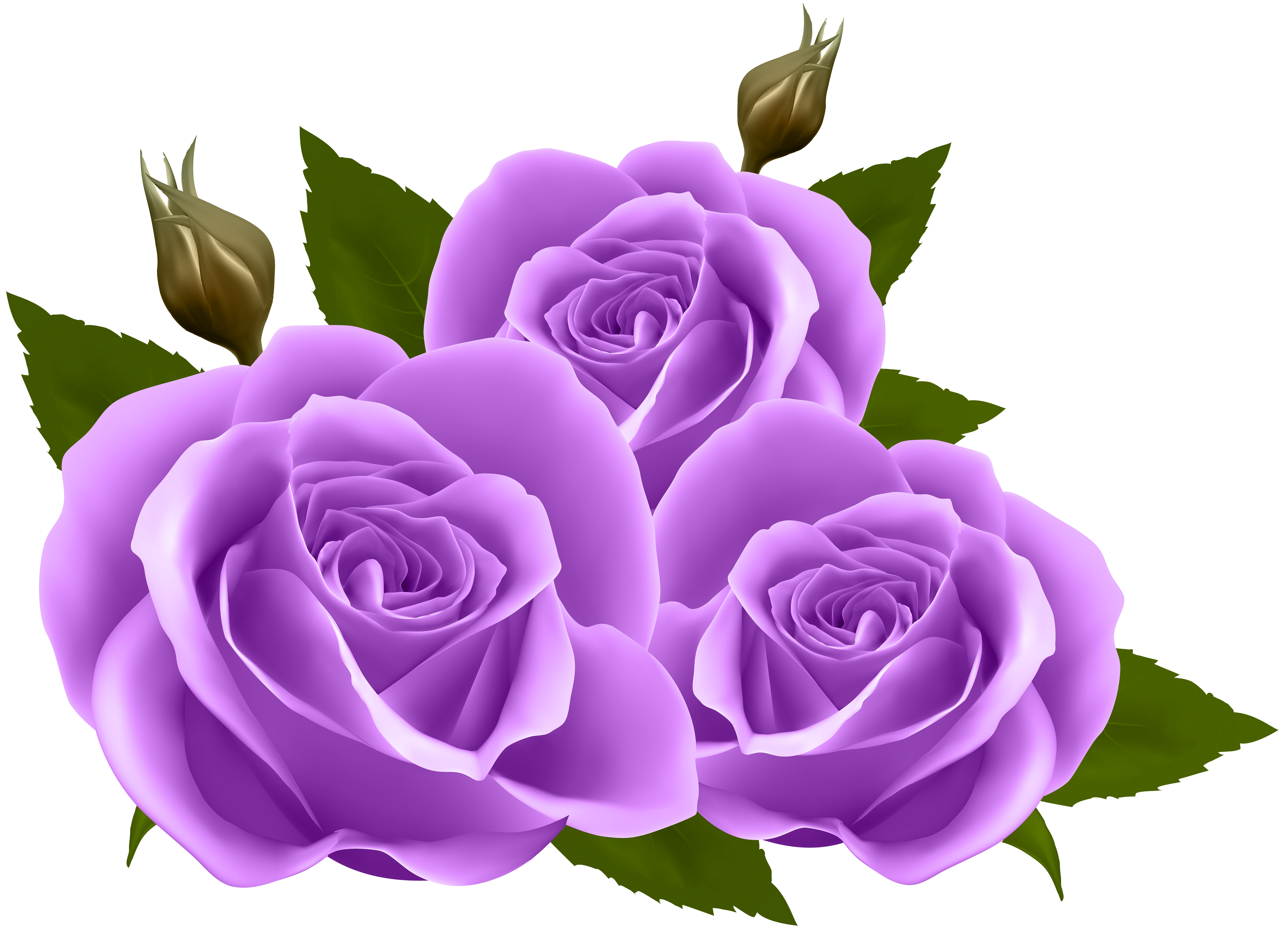 Purple rose clip art 👉 👌 Purple Rose Clipart Simple Flower -