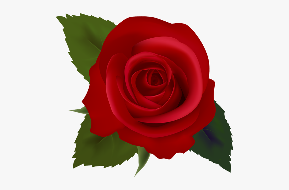 Clip art images free. Clipart roses red rose