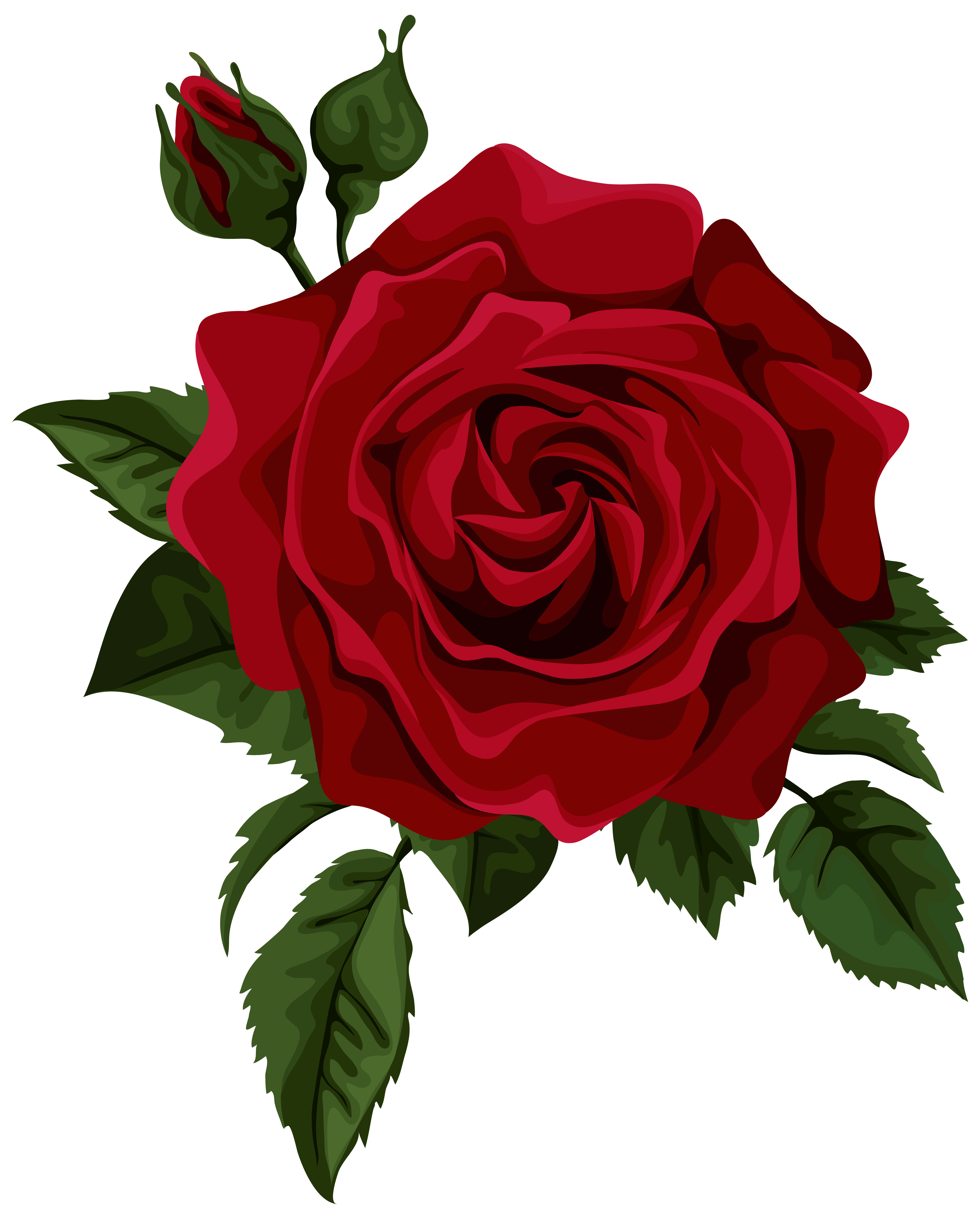 Red rose with bud. Clipart roses thorn