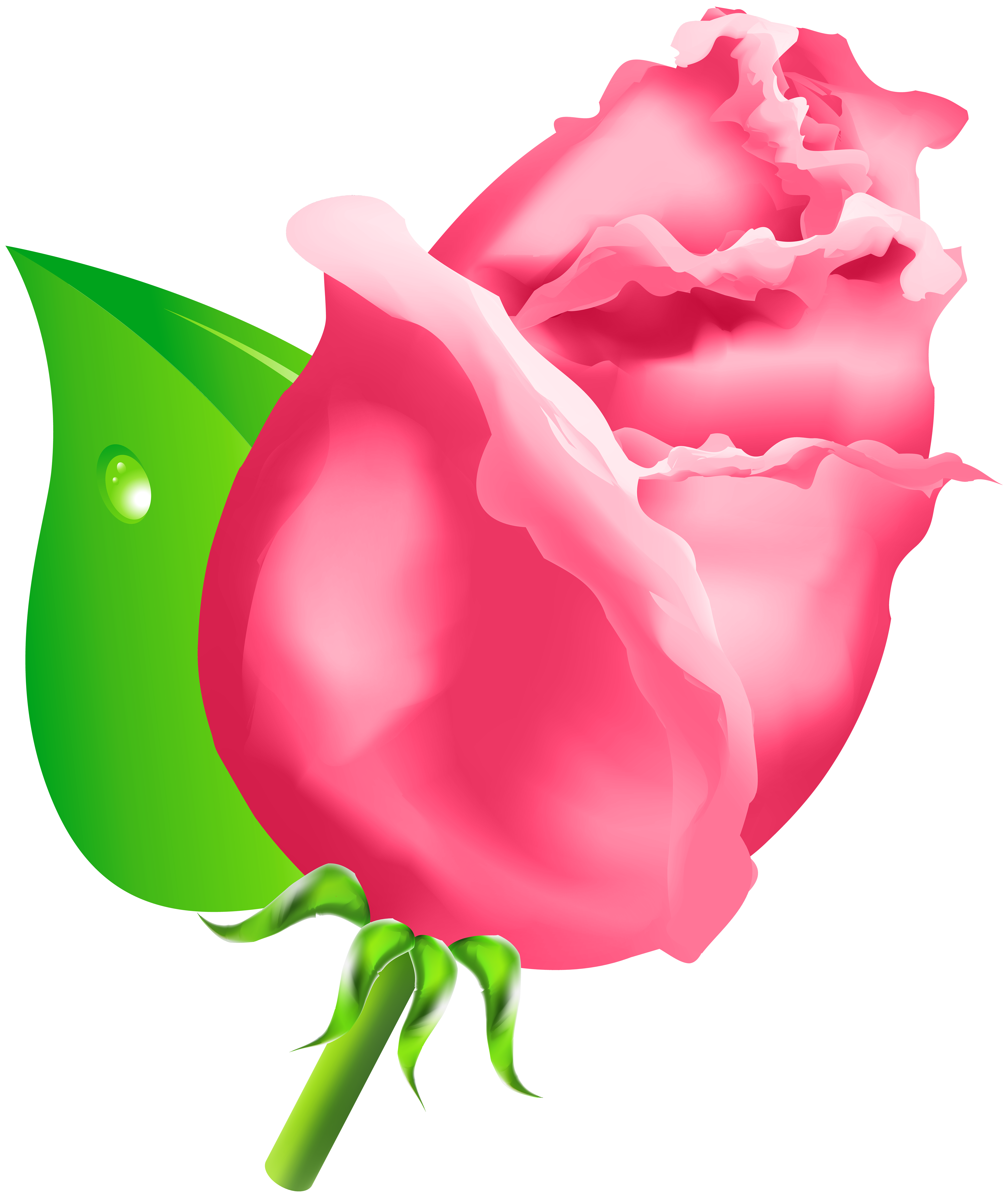 Clipart roses rose bud. Png best web