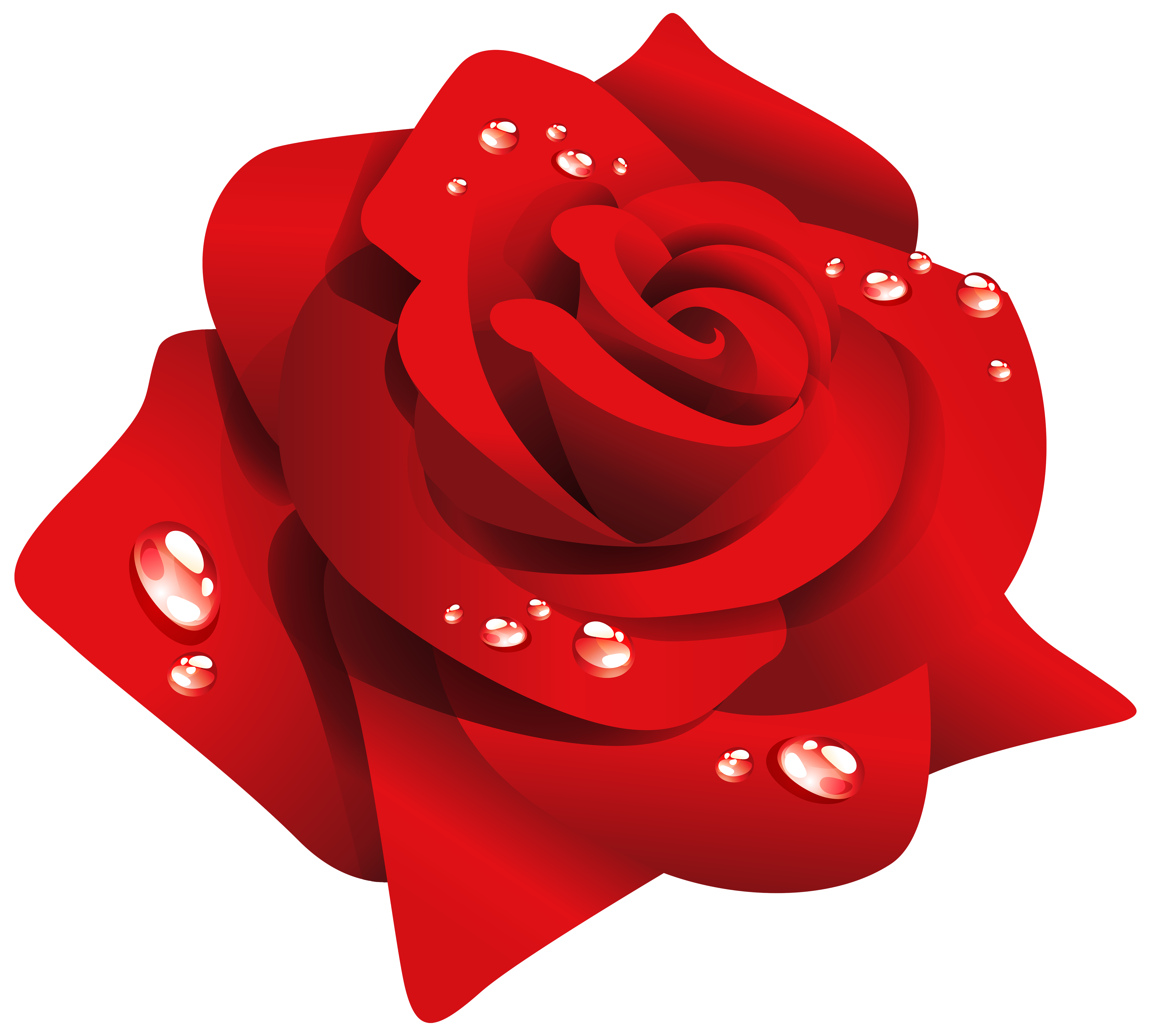 Red rose with dew. Clipart roses knife