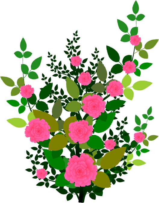 Plant free download best. Clipart rose shrub