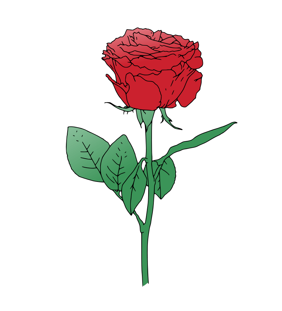 Red rose vector rooweb. Clipart roses single