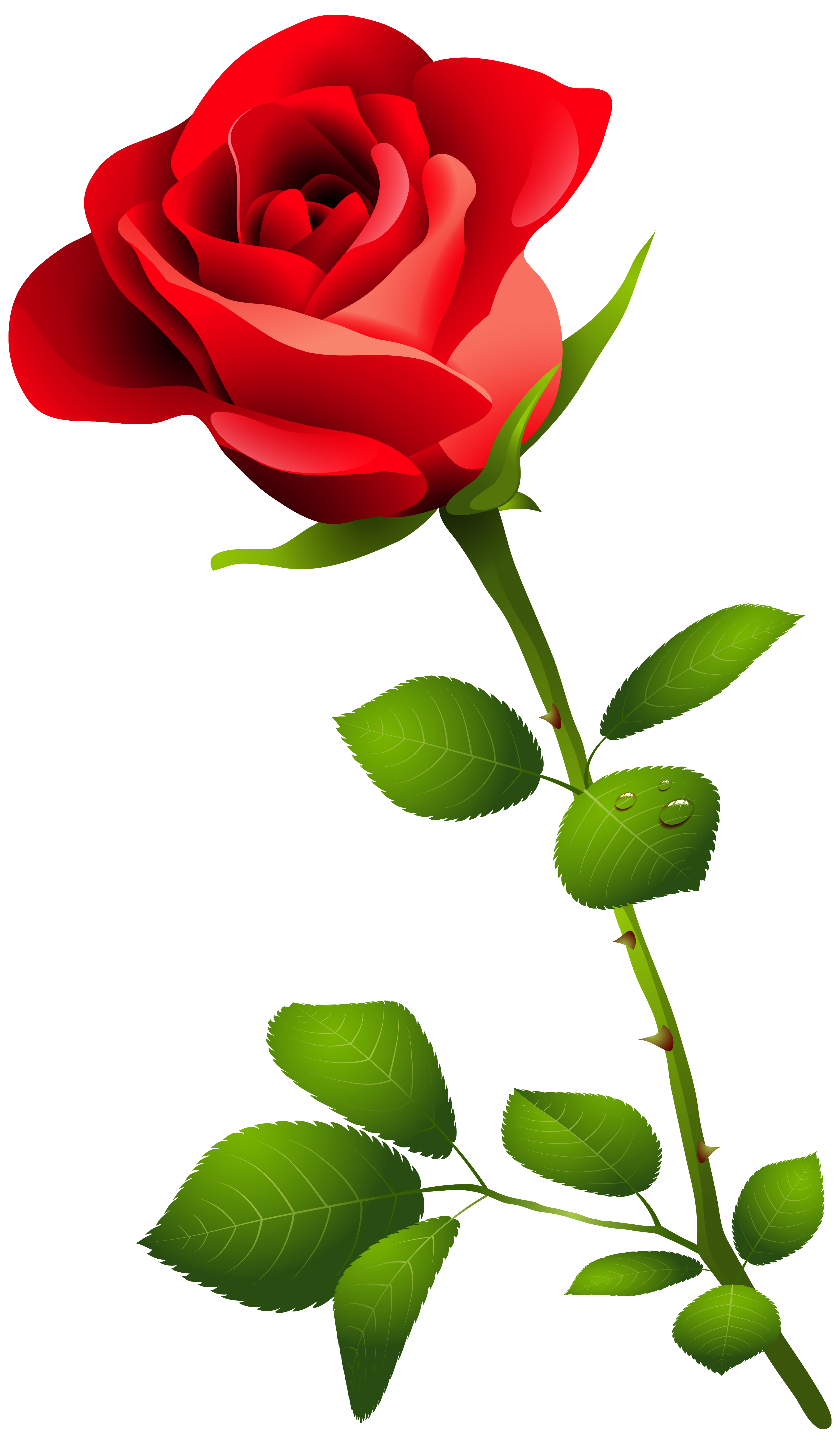 Clipart rose stick. Red with stem png