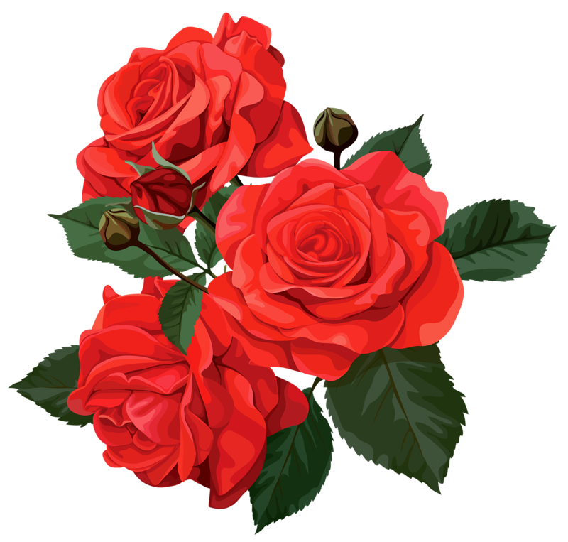 Flower bouquet clip art. Clipart rose thorn