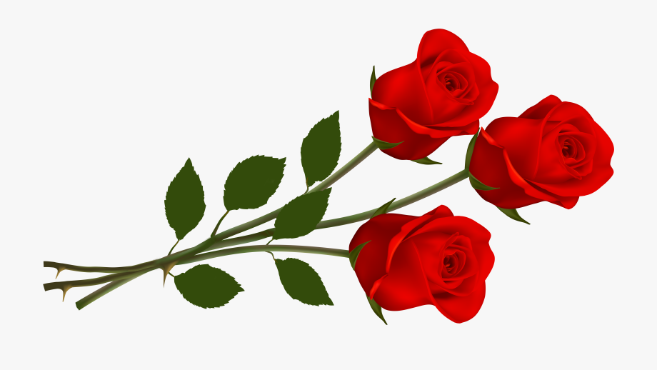 rose clipart valentines