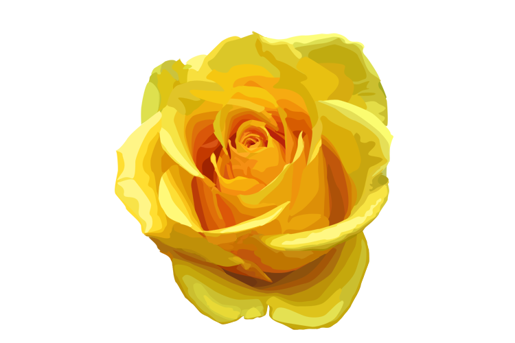 Single royalty free stock. Clipart rose yellow rose