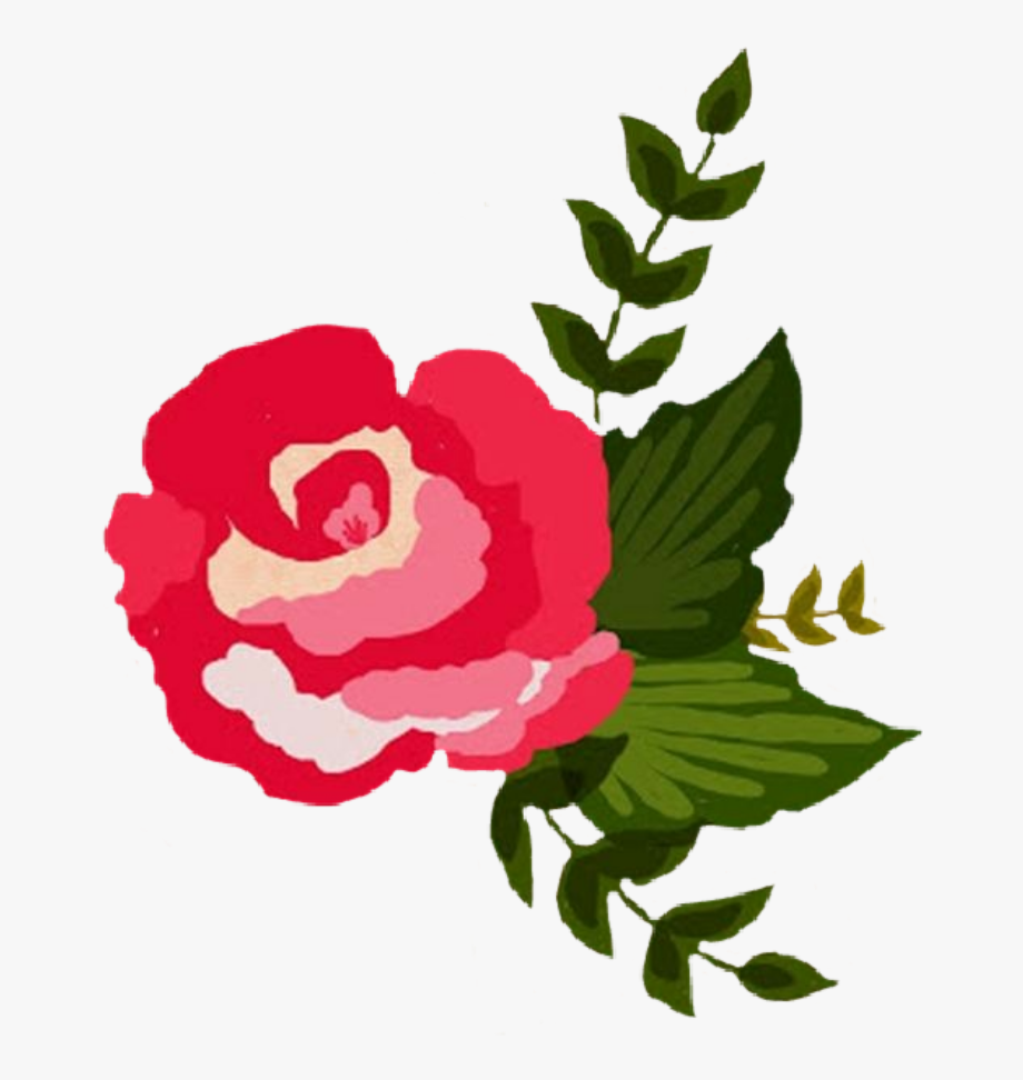 Clipart roses bloom. Pink frame flower border