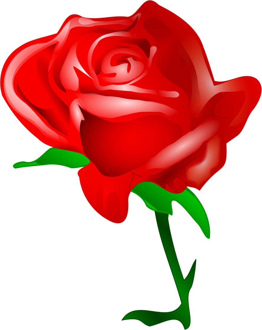 Red by tomas arad. Clipart roses dead rose