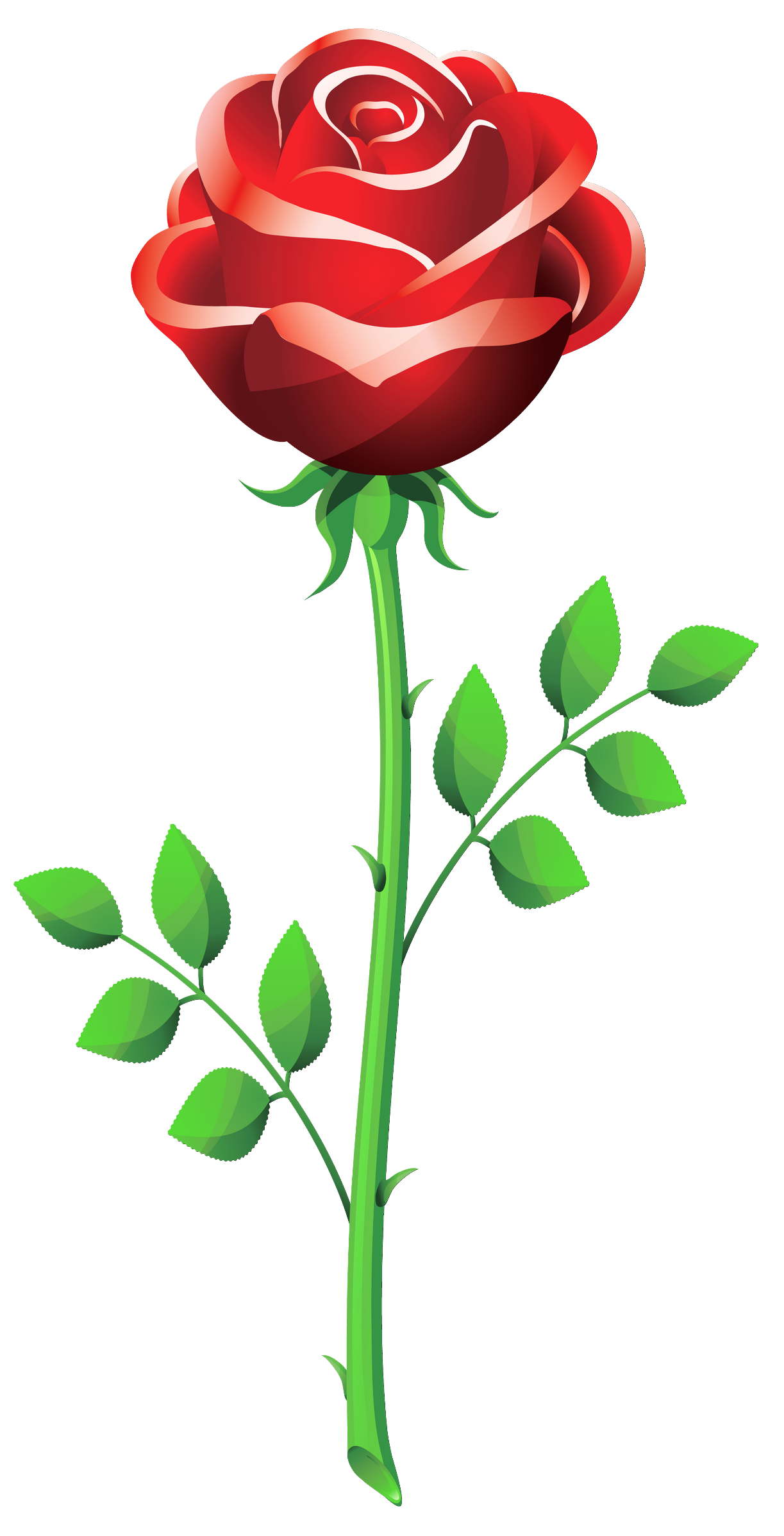 Clipart roses dome. Rose clip art outline