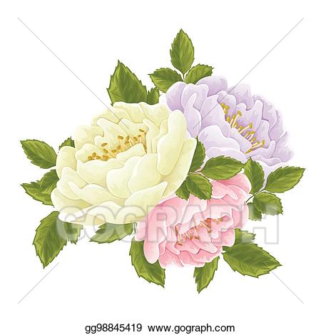 Clipart roses english rose. Vector art graphic flowers