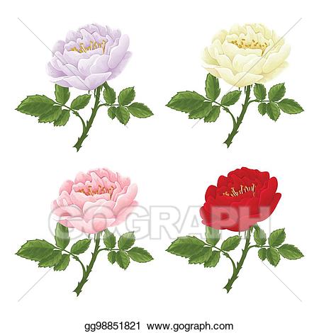 Vector art graphic flowers. Clipart roses english rose