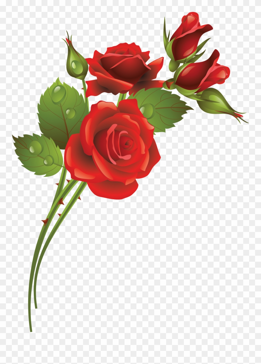 Clipart roses garden rose. Flower clip art frame
