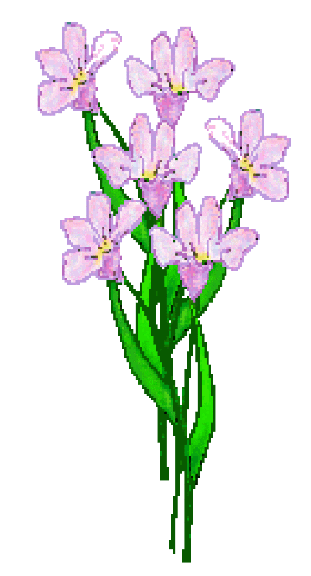 collection of lavender. Clipart roses lavendar