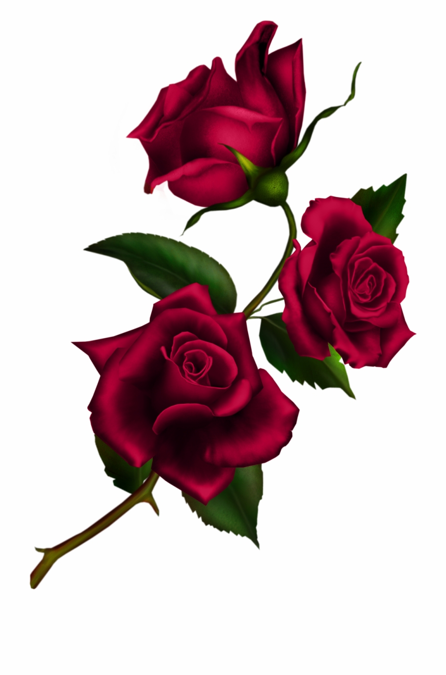 Clipart roses money. Free download rose gothic