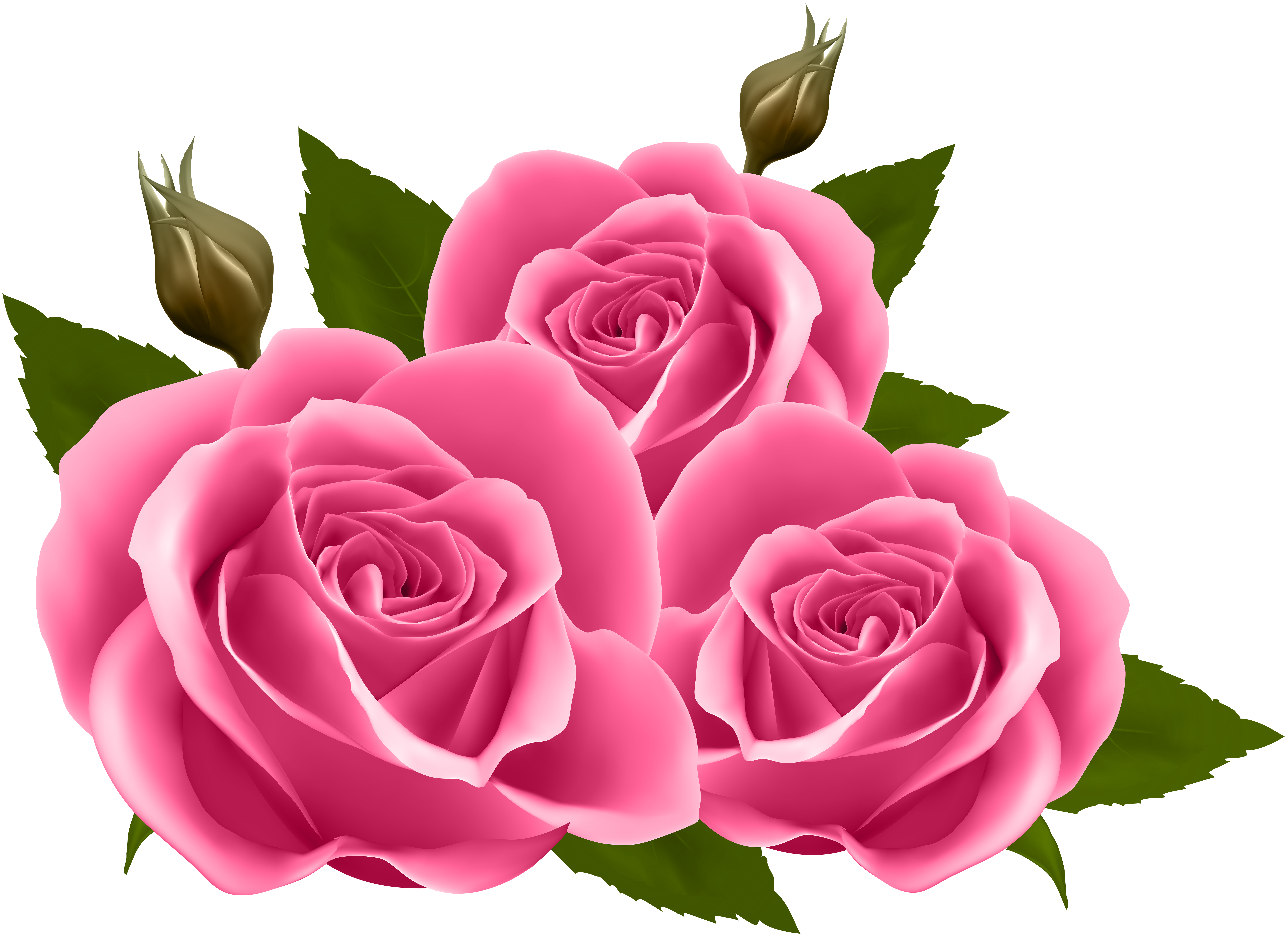Pink png clip art. Clipart roses rose gold